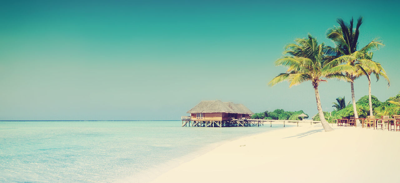 Tropical Paradise