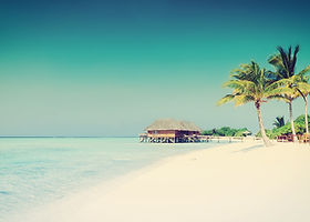 Tropical Paradise