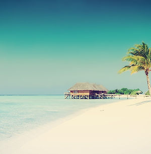 Tropical Paradise