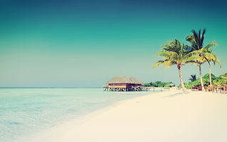 Paradis tropical