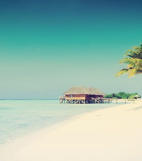 Tropical Paradise