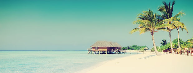 Tropical Paradise