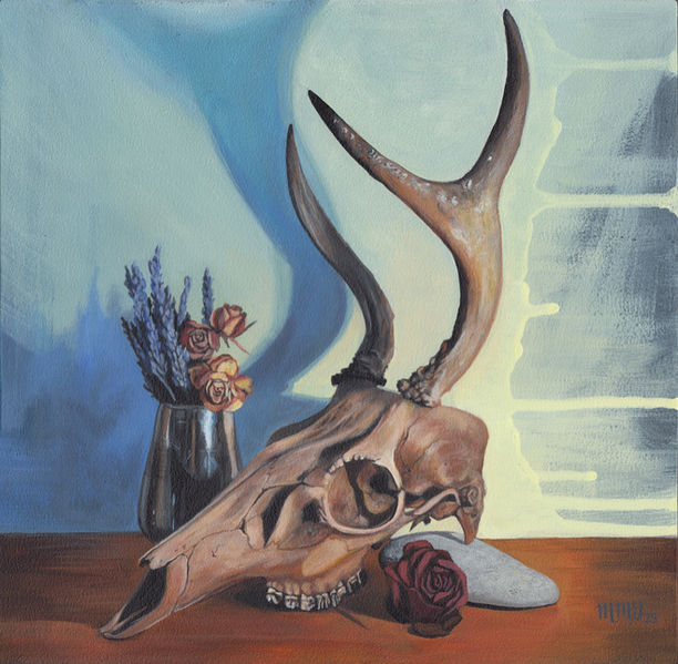 deer skull