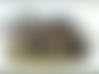 Murderers are disappering around where I live