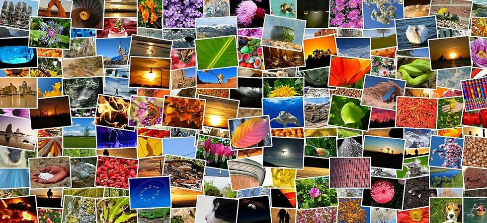 mini_photos.jpg