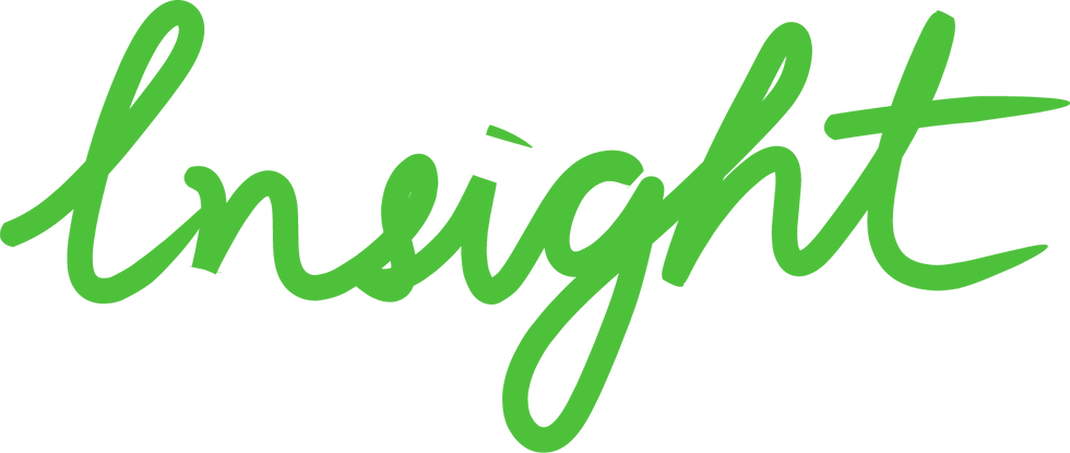 Insight 1.png