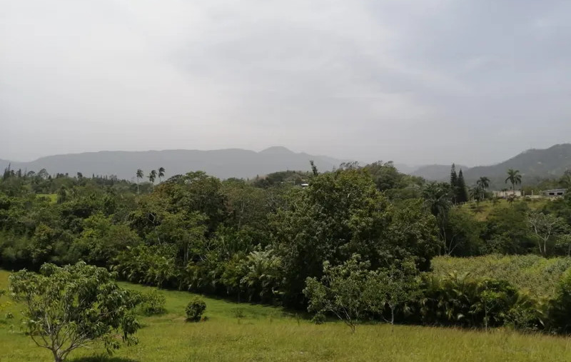 21520 Ft2 LAND FOR SALE IN JARABACOA