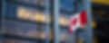 AdobeStock_133149115_edited.jpg