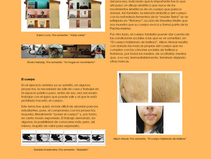 El curso y la pandemia