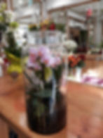 Plante décorative