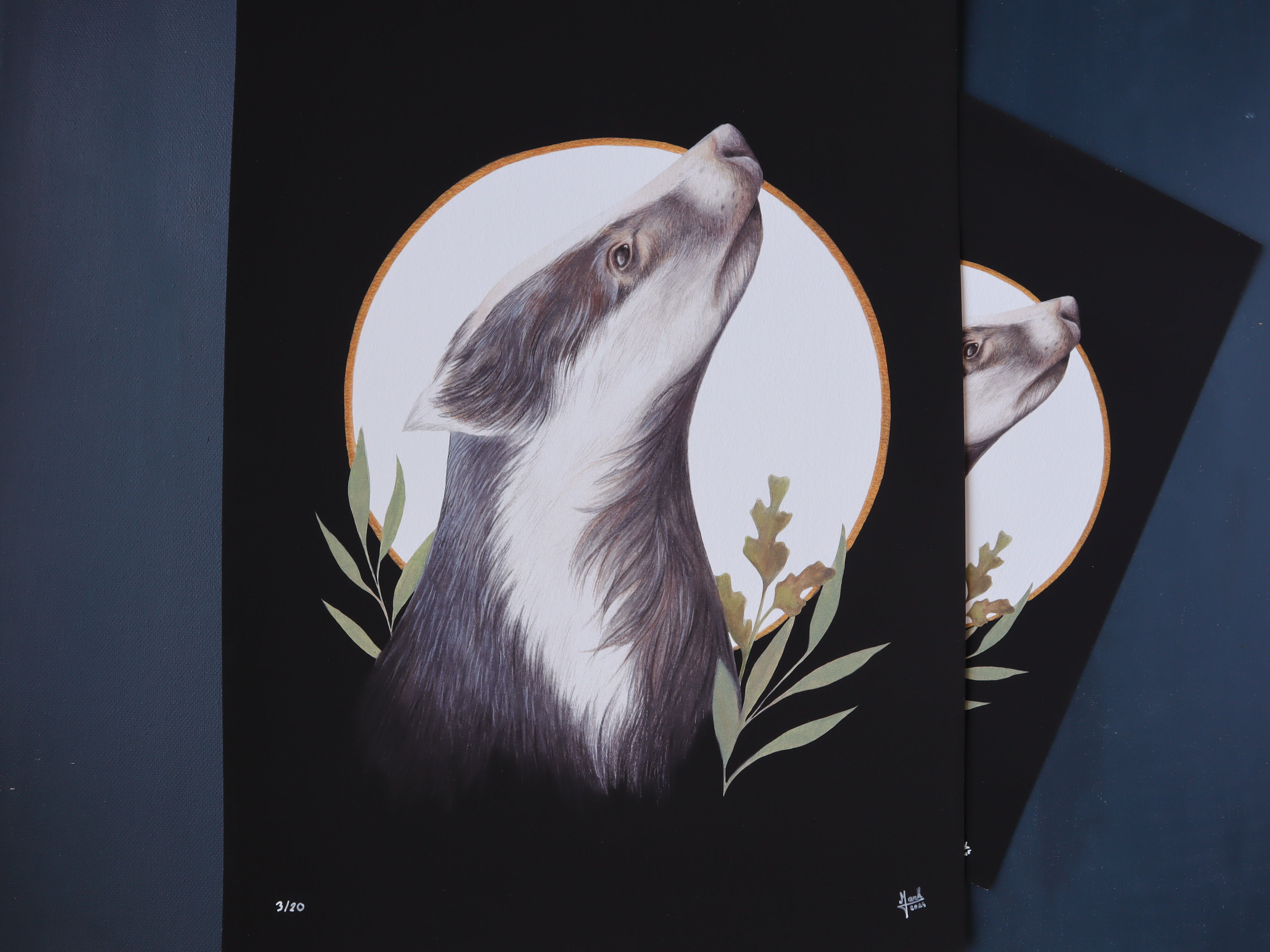 Dachs - limitierter Fine Art Print