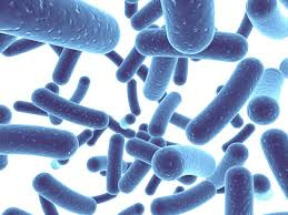 Probiotics After Surgery - A Stronger Recovery
