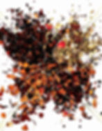 Thumbnail: Berry Sampler