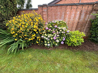 Colorful flowers by brick wall