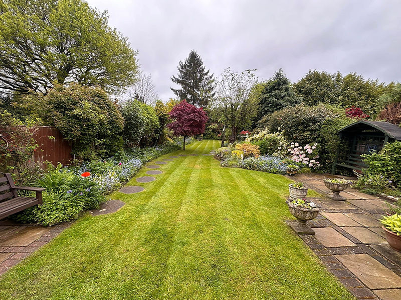 Lush garden path with greenery