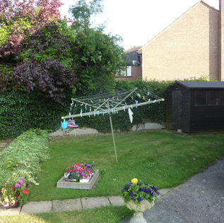 A sunny backyard