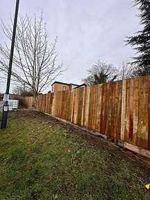 Wooden fence and tree scene