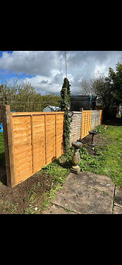 Wooden fence in garden area