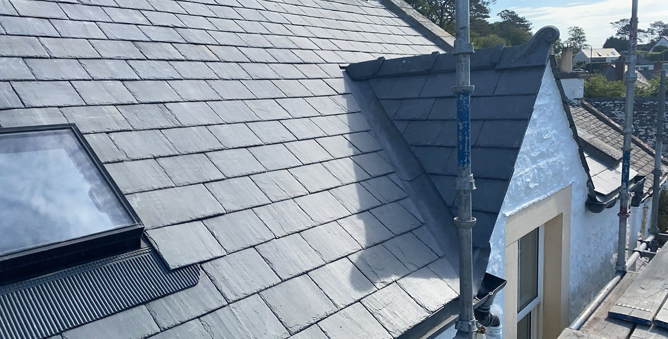 A sloped slate roof with a skylight is shown under a bright sky