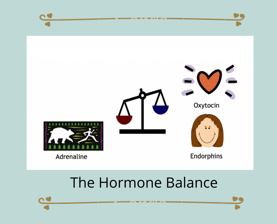 Hypnobirthing teaching you how your labour hormones work
