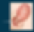 Why pooing in labour is normal – baby’s head pressing on rectum during birth.