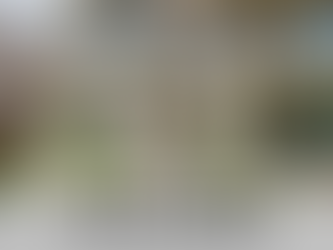 Florida Housing Market Poised for 2025 Growth: What to Expect