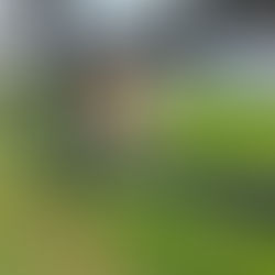 Guía de Cuidado para Vacas: Consejos para una Salud Óptima