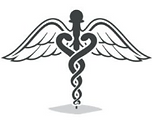 Medical Legal Icon Scale Wings