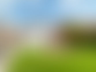 Property Photography - August