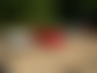 Concorde Classics 2024 - Classic & Super Car Show Results