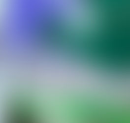 Spring Energy Saving Ideas