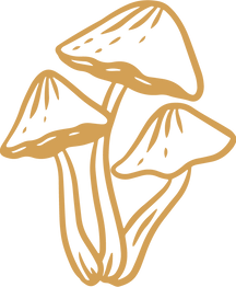 drawing of three mushrooms