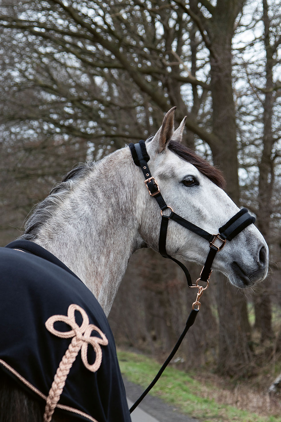 Miniaturbild: Halfter -Rosegold Glamour- Style
