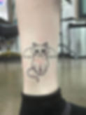 Cattoo for Ashe