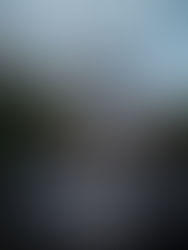 Skate, conexão e cultura de rua: atletas visitam Garibaldi e Bento Gonçalves em ação de fomento à cena local