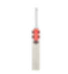 Gray Nicolls Neocore Elite English Willow Cricket Bat