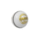 DSC Grade Cricket Ball