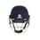 Thumbnail: Shrey Pro Guard Air Stainless Steel Cricket Helmet