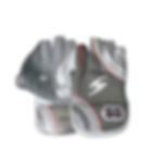 SS Aerolite Wicket Keeping Gloves