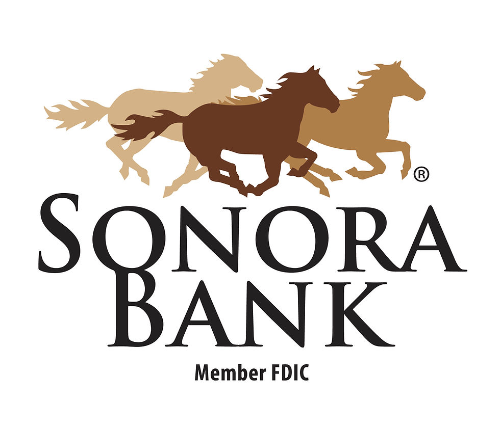 Sonora Bank - Silver Level.jpg