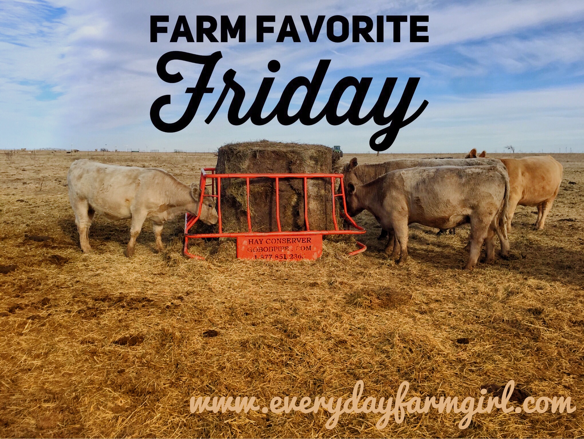 Farm Favorite Friday