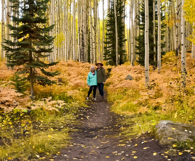 Fallorado