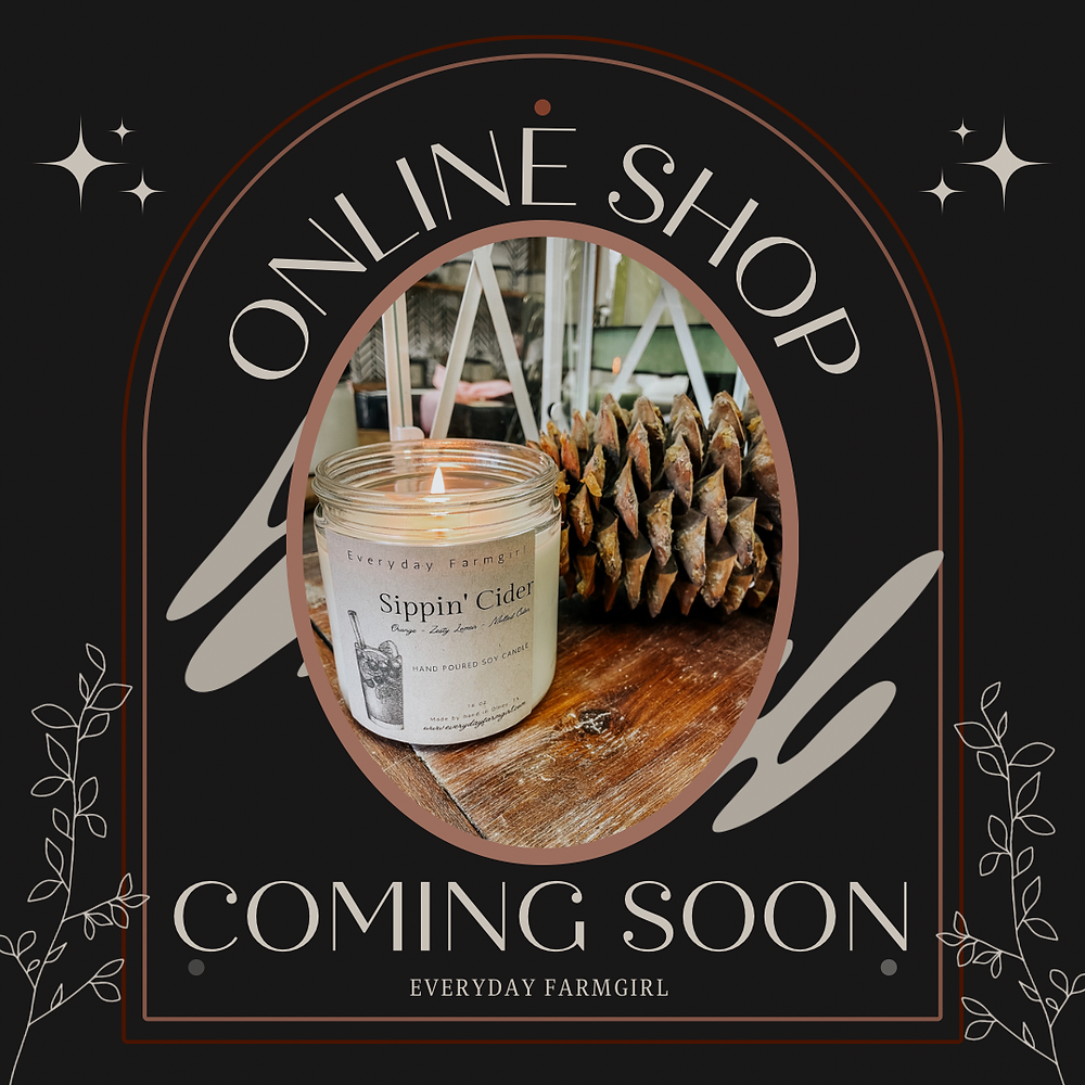 Online Shop Update Coming Soon