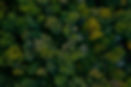 shutterstock_1833381685_edited.jpg