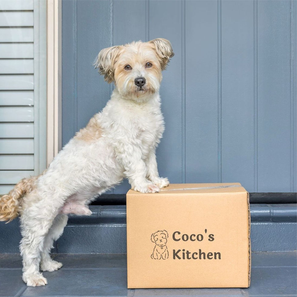 Product Photo