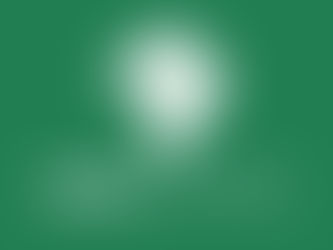 A equipe Arbocontrol da estação Pará - Cametá, divulga oficinais realizadas pelo projeto.