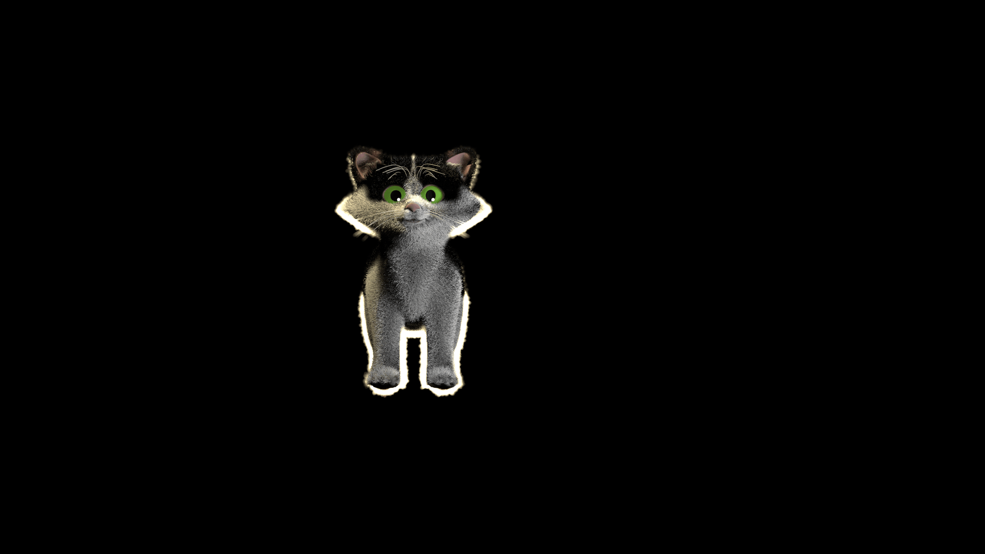 gatto.gif