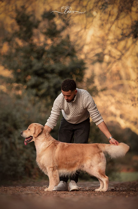 Harry retouches finales (9) bis_edited.j