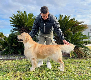 Harry perpignan 2025