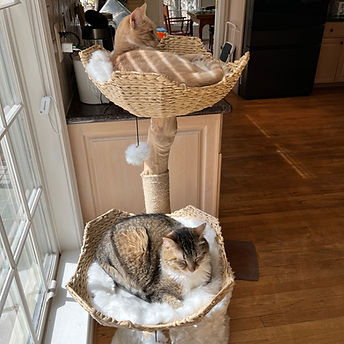 Paris and Hank.heic